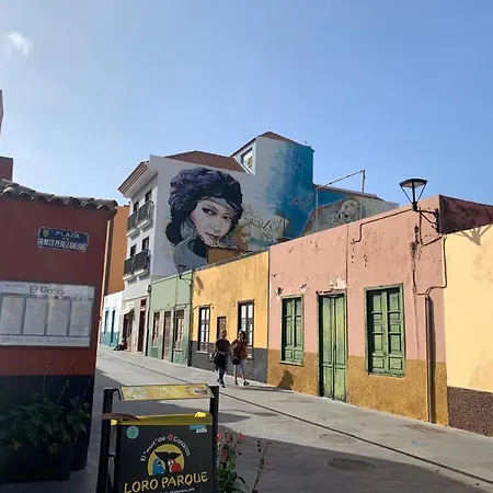 San Pedro Family Apartment Puerto de la Cruz (Tenerife)